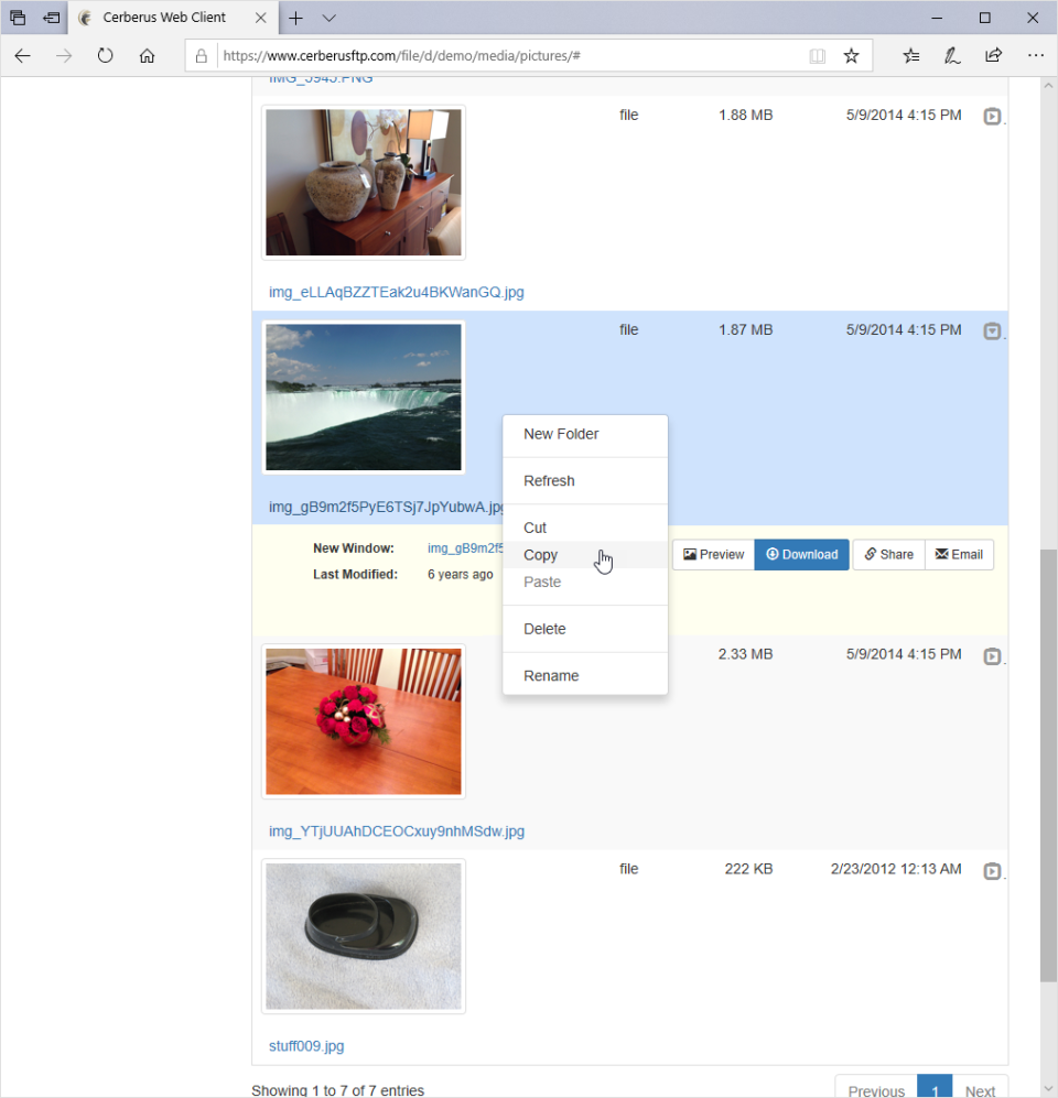 screenshot of Cerberus FTP Server